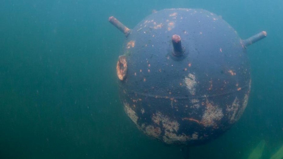    Автор фото: Sergey Dubrov/ Shutterstock/ FOTODOM