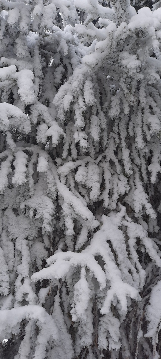 У нас сегодня так..