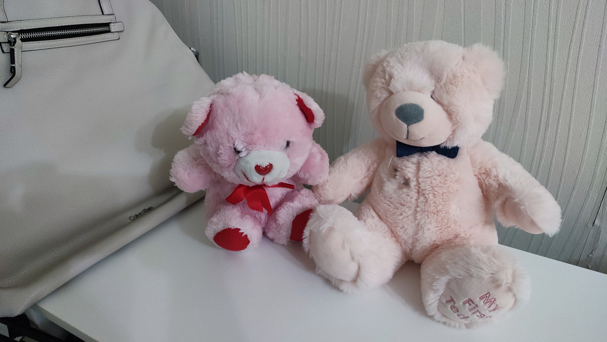 Мишка и Машка живут на моём стеллаже