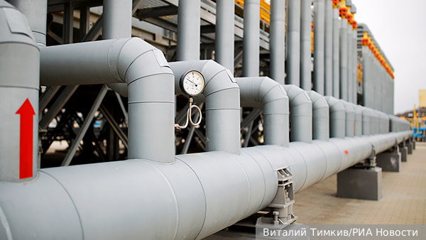     Фото: Виталий Тимкив/РИА Новости   
 Текст: Ольга Иванова