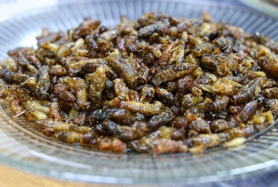    Сергей Булкин/NEWS.ru