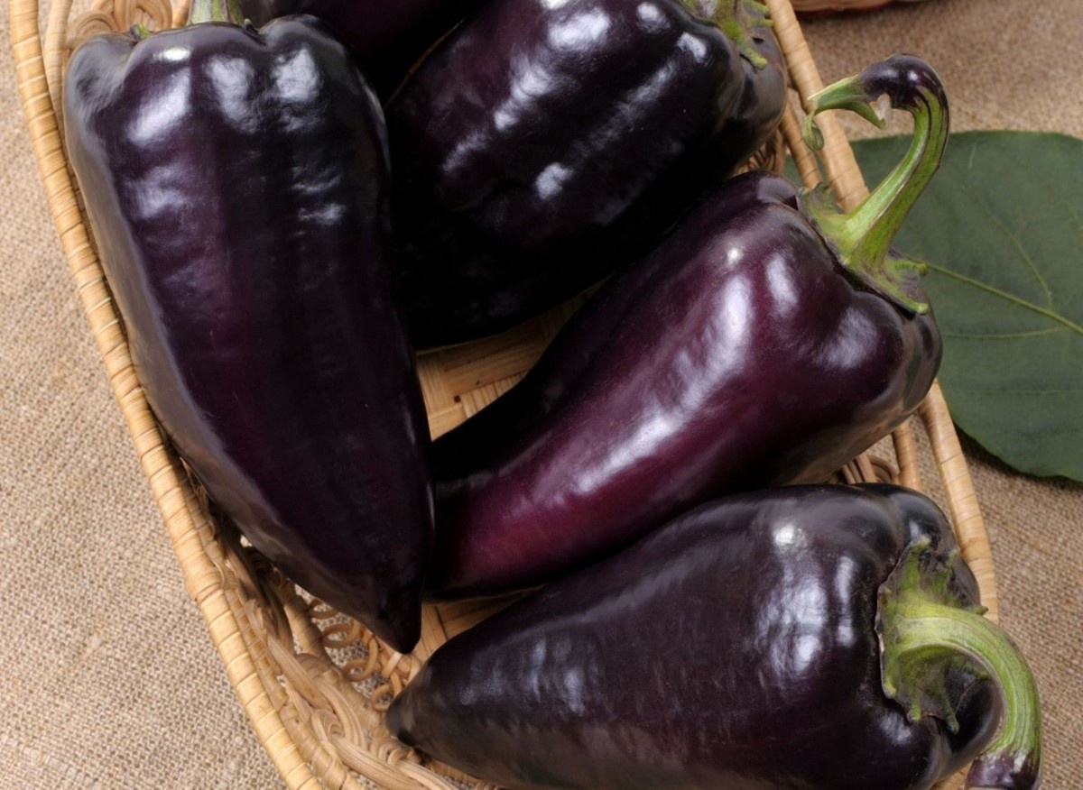 Урожай 2024 г.