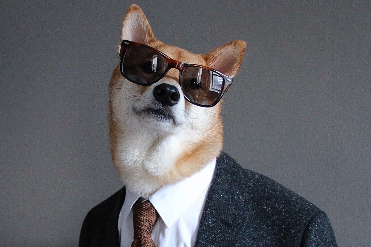    Просто чиловый парень: как мем с антропоморфным псом завоевал интернет