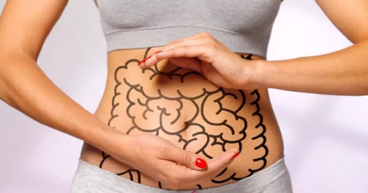    Работу кишечника легко проверить, воспользовавшись простым тестом. Источник: hibiny.ru