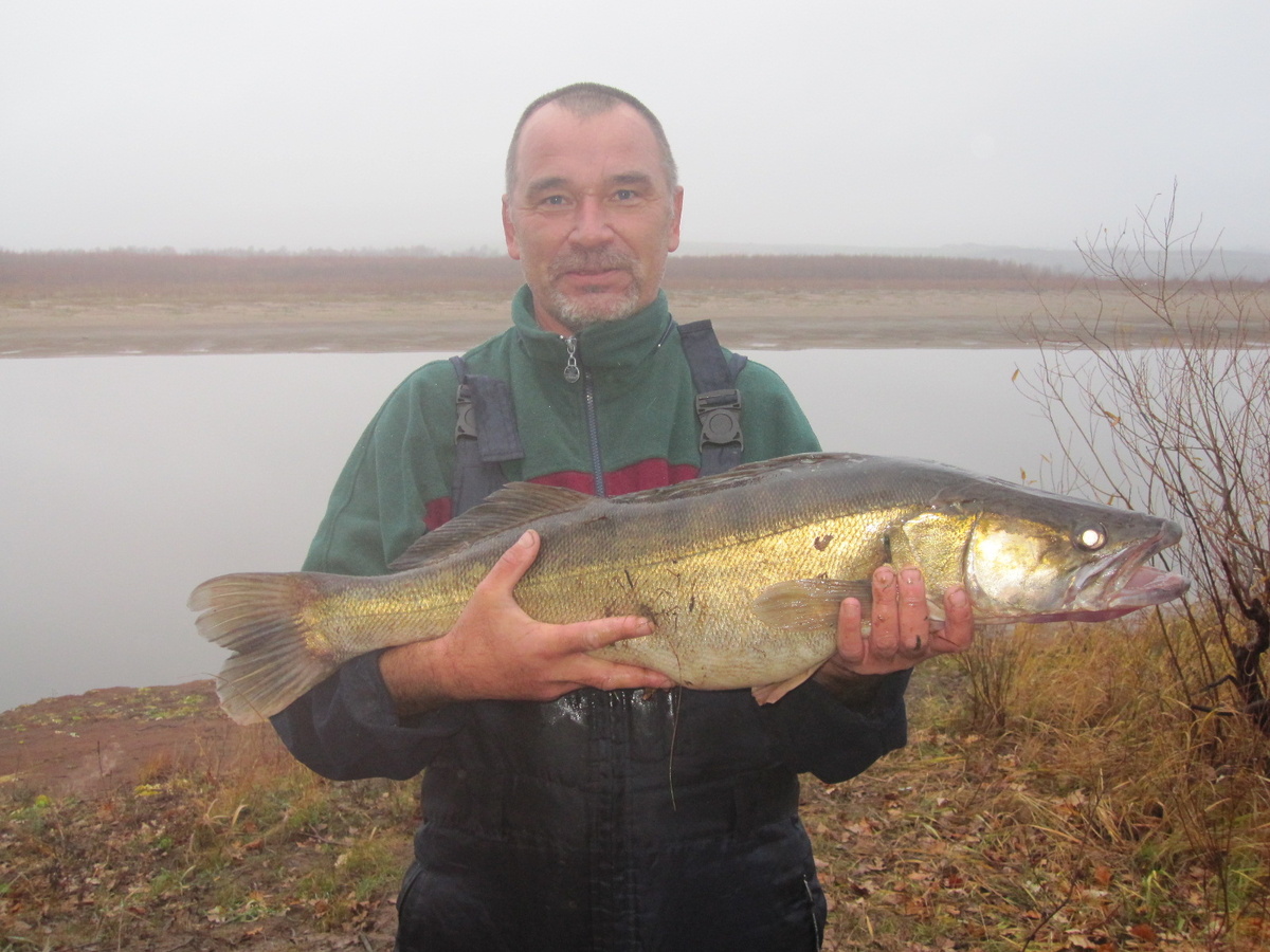 Мой трофей на смешную самоделку 