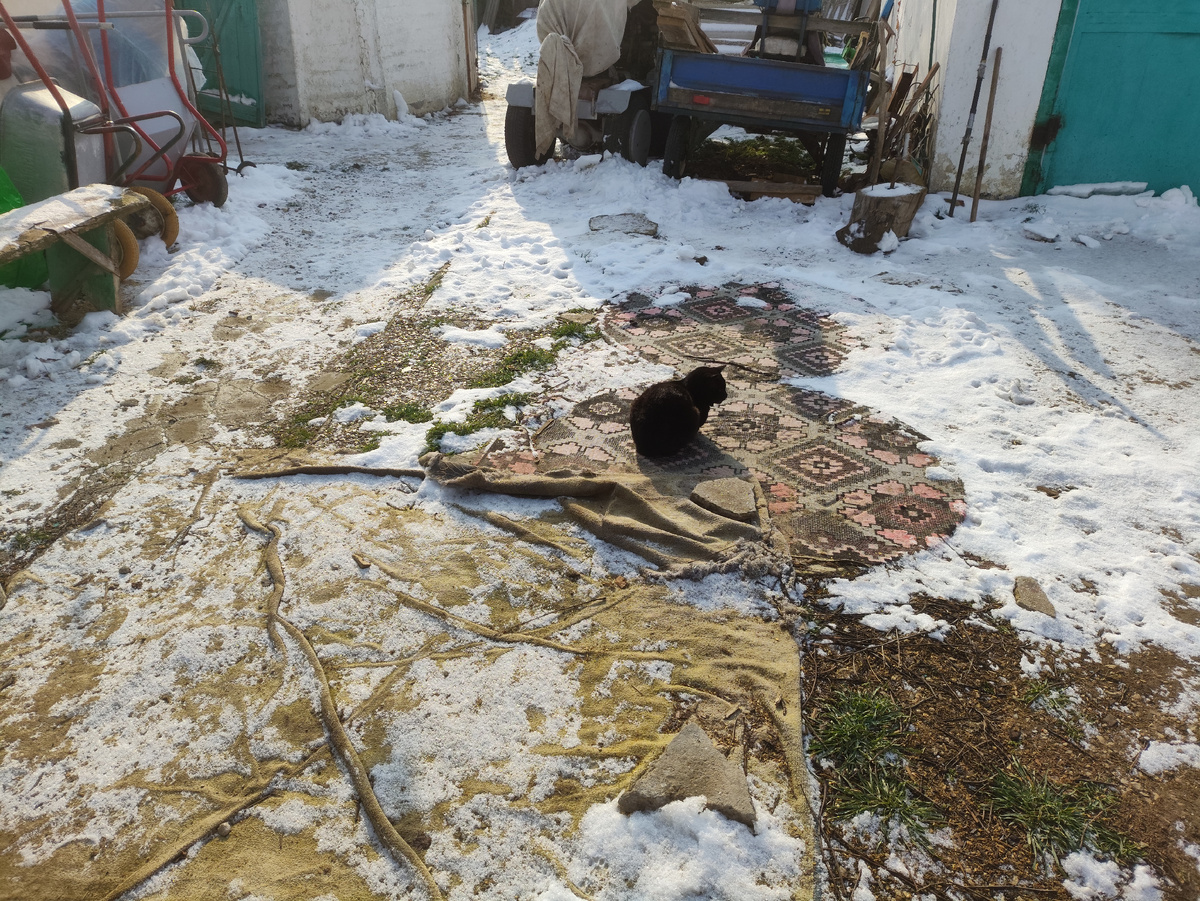 Котейка греется и снизу, и сверху ))