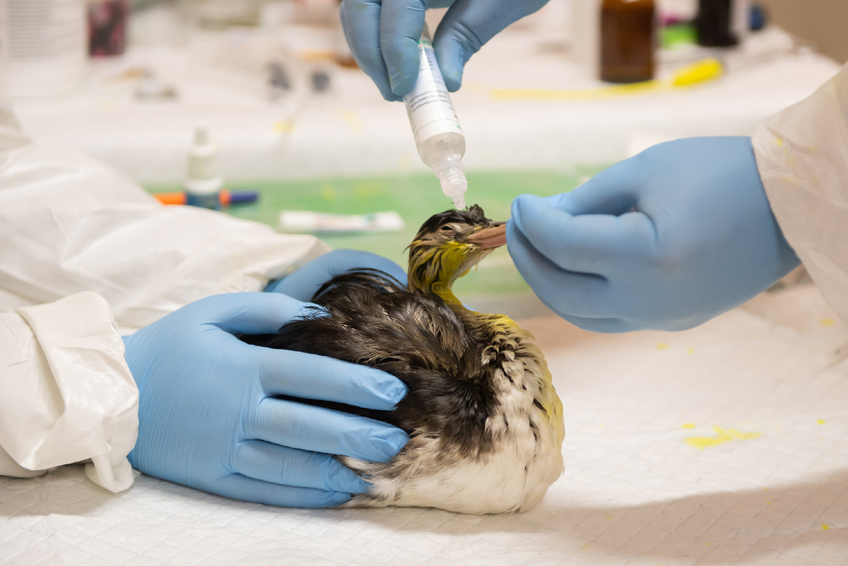 📸 Дмитрий Шаромов