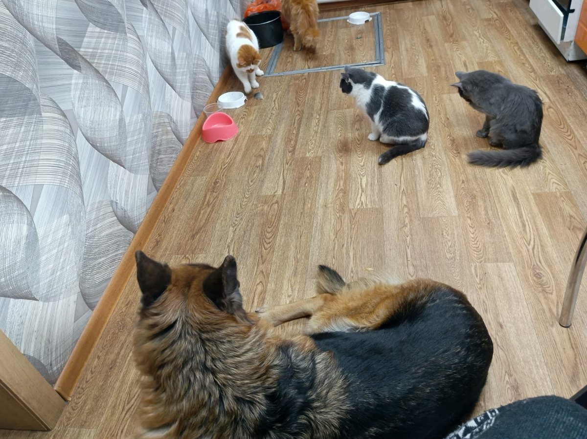 Баги на страже интересов... и не важно кого, главное - на страже