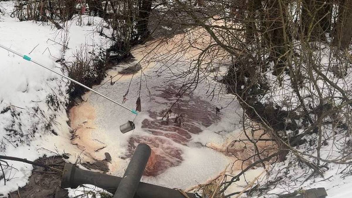    Фото: Пресс-служба Северо-Западного управления Росприроднадзора