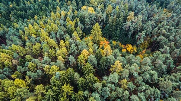    © Photo : picjumbo.com