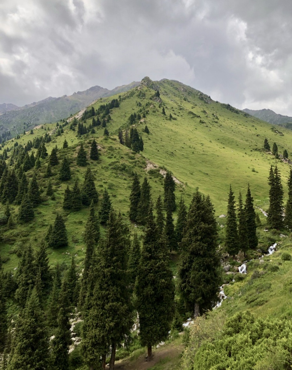 Заилийский Алатау немного выше «Медео» 