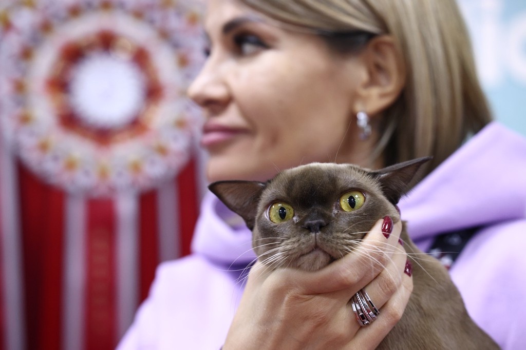    Фото © Анастасия Романова / Абзац