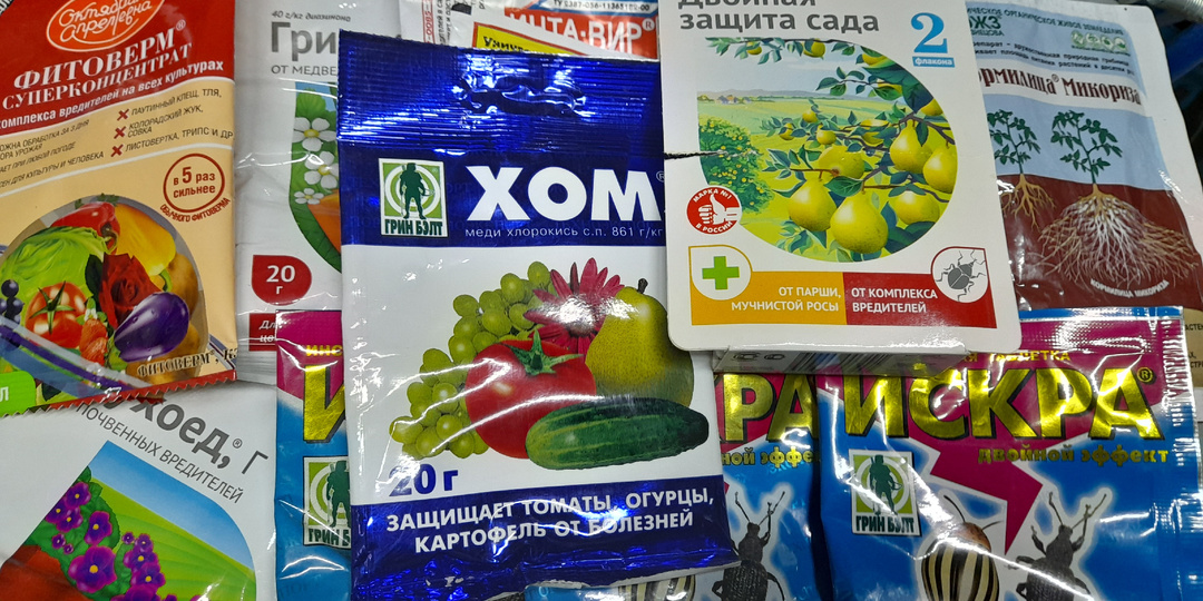 Весенняя обработка сада от болезней и вредителей: пошаговый план работ для идеально здорового сада