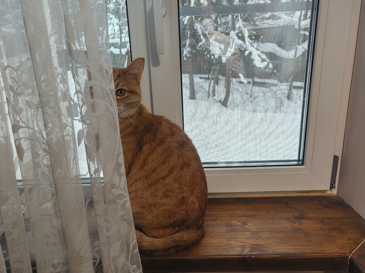 Ой, фсё! Щас будет страшно 🫣