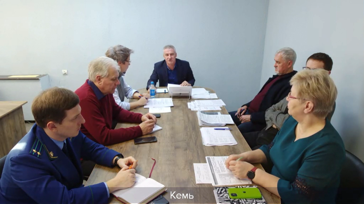 Совещание по развитию Кемского района. Скриншот с трансляции.  📷
