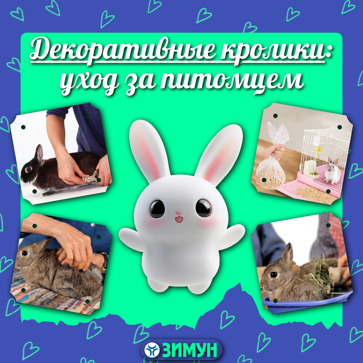 Заставка с кроликами на фоне