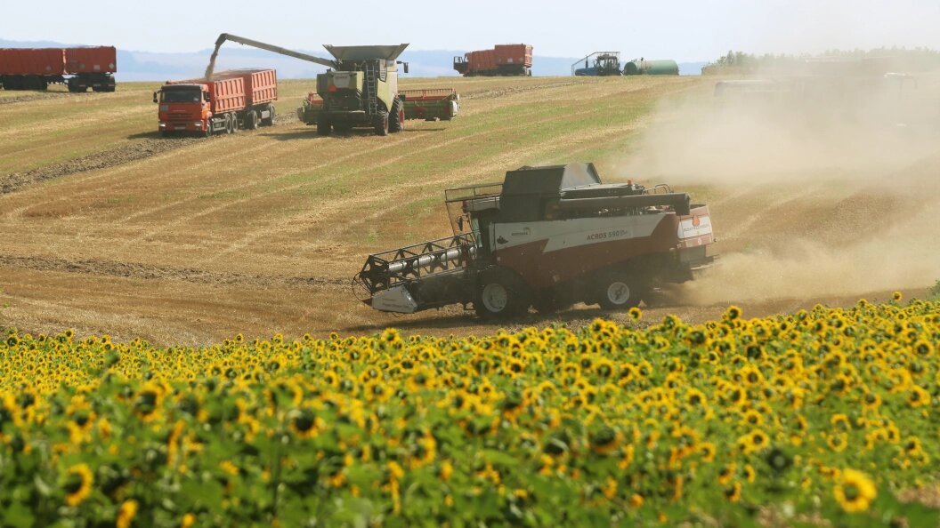    Фото: Nikolay Gyngazov/Globallookpress