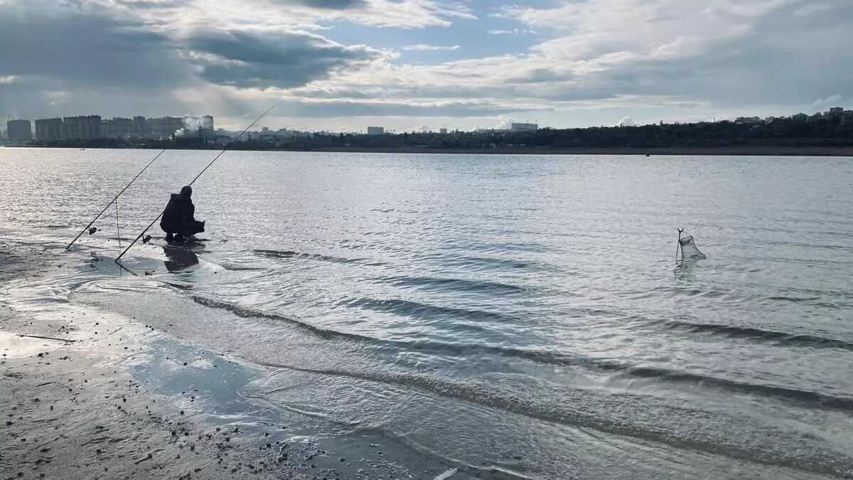     Источник: rostovgazeta.ru