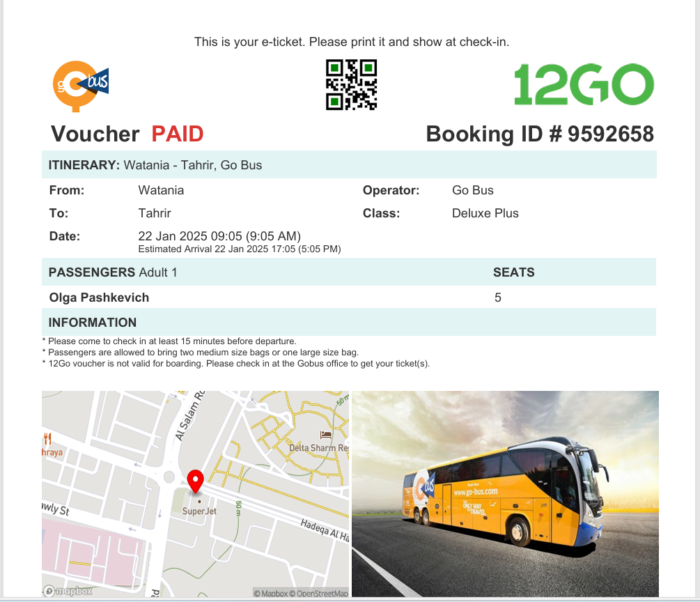 Мой билет в Каир 