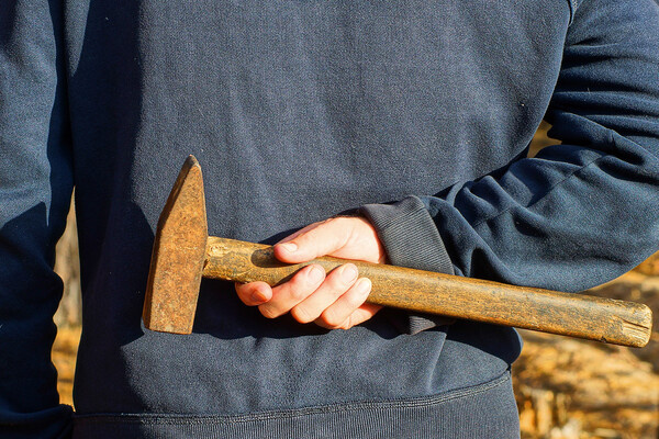 REDCHYTS FEDIR/Shutterstock/FOTODOM 