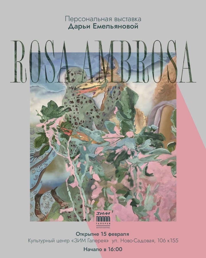    Фото ЗИМ Галерея