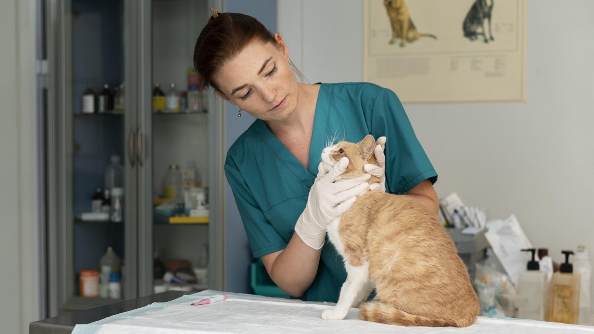    Гельминтами могут заразиться и собаки, и кошки, которые не выходят из дома. Фото: freepik