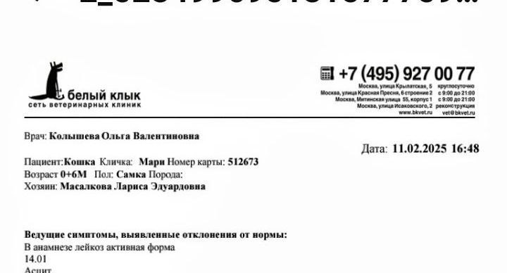 Шапко выписки