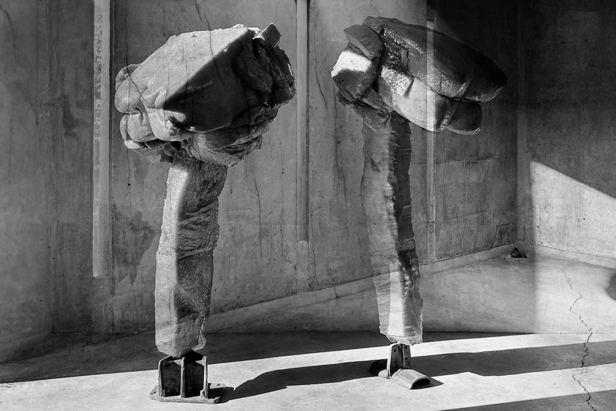    Хельмут Ланг проведет новую выставку в Лос-Анджелесе (фото 1)