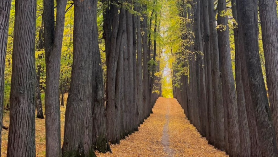    Фото: Комитет РТ по охране объектов культурного наследия