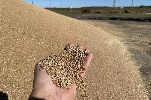 Фото с сайта eldala.kz