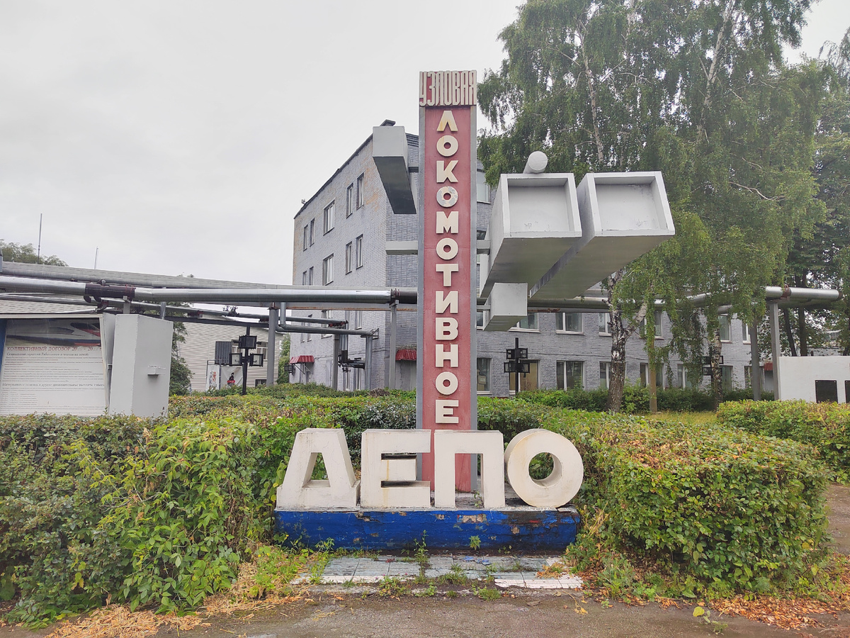 Стелла. Снимок автора