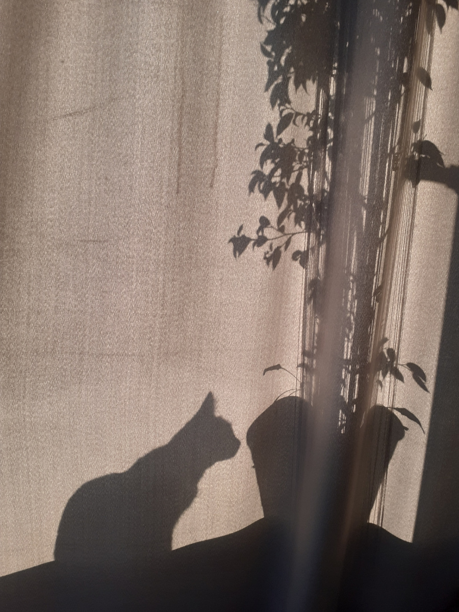 Японский театр....