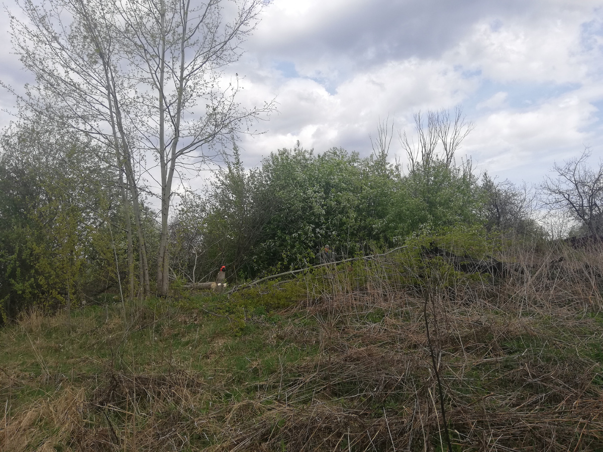 Пошла работа!