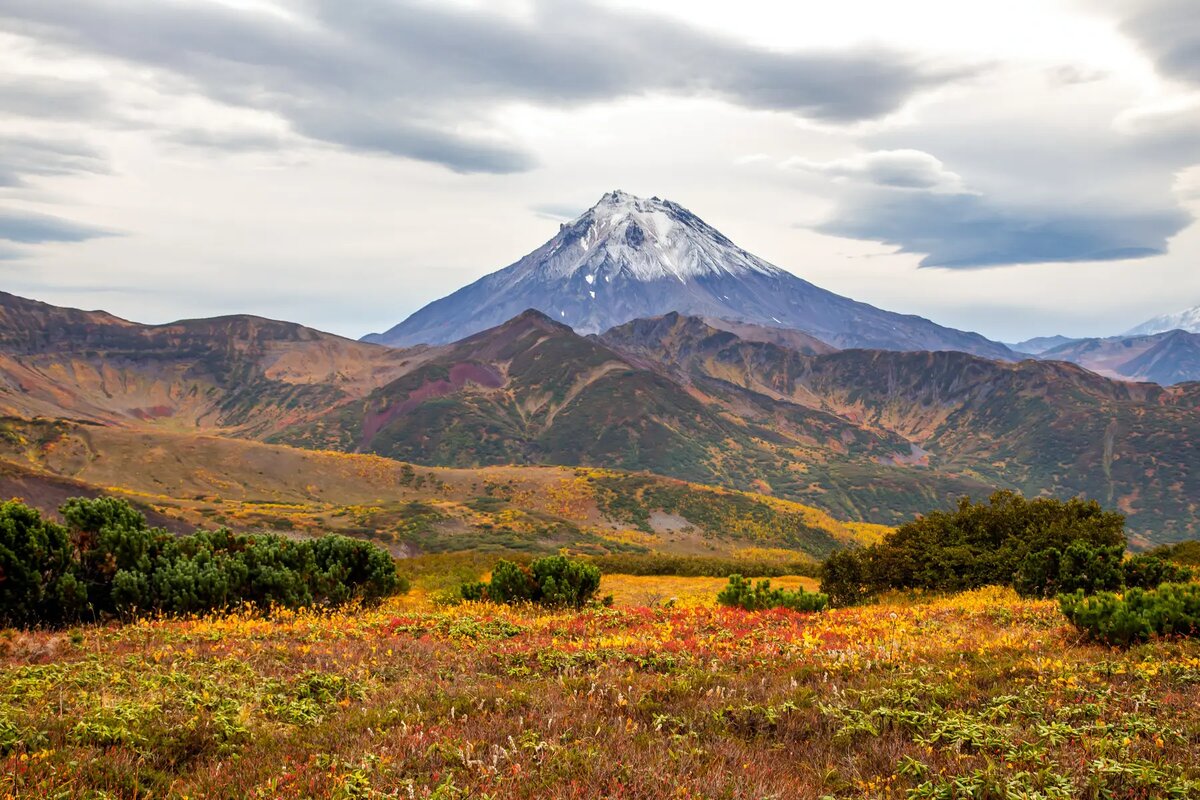     © "Интерфакс". Андрей Щетинин