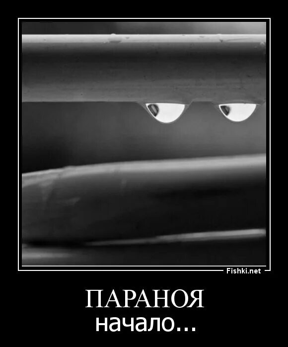 источник Яндекс-картинки