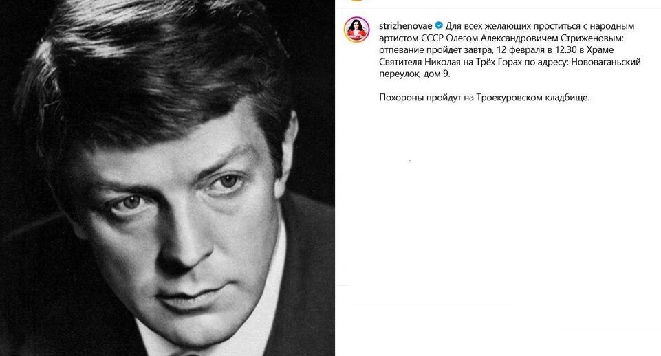    Instagram*.com/strizhenovae / Соцсети