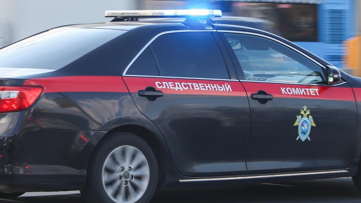    Фото: Petrov Sergey/news.ru/globallookpress.com