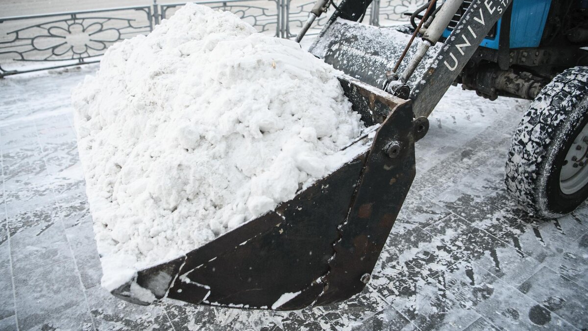    Фото: Ilya Moskovets/globallookpress.com