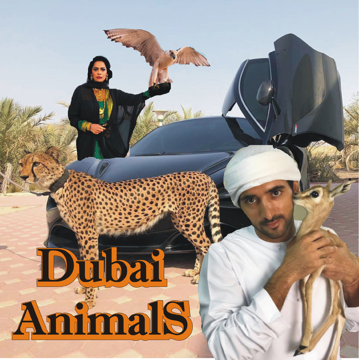 Красота, сила, скорость и доброта в одном фото