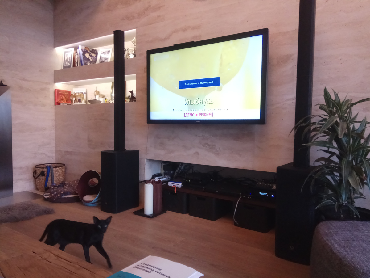 Домашнее караоке с профессиональными акустическими системами Turbosound IP1000