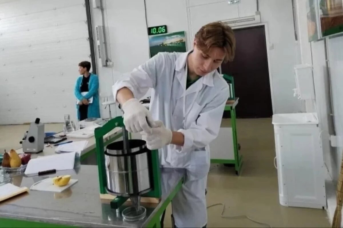    В Краснодарском крае проведут чемпионат «Профессионалы»