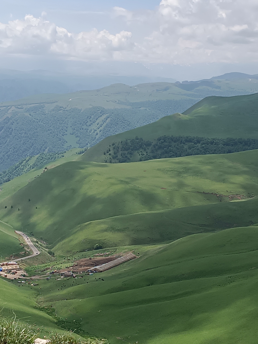Кисловодская Щвейцария. И в таких местах коровы на свободном выпасе дают невероятно вкусное молоко.