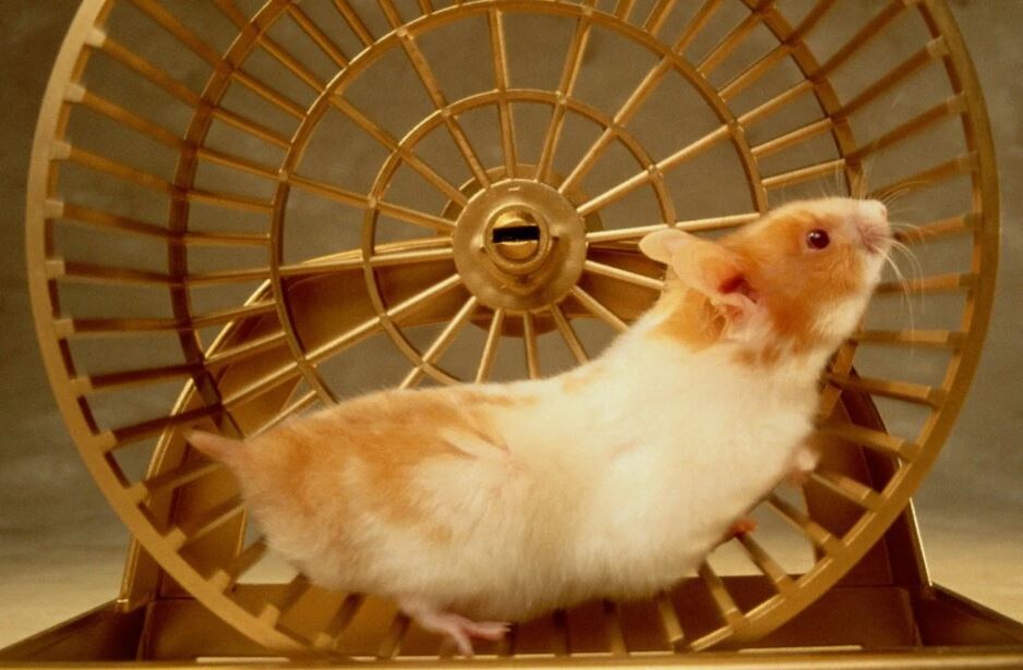 Вот так сын свою трудовую деятельность на сломанном станке и описывает... (скачано из свободных источников).