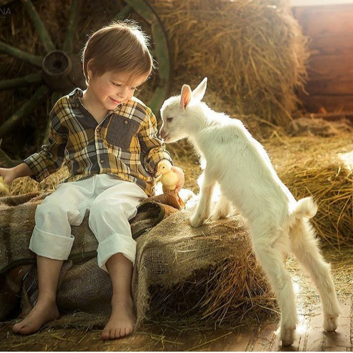 Источник: Pinterest