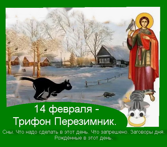 Источник : Яндекс картинки. 