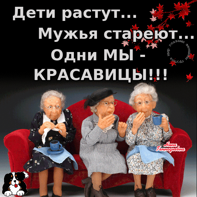 Из интернета. 