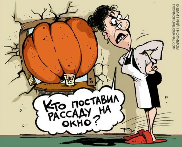 Источник Яндекс картинки