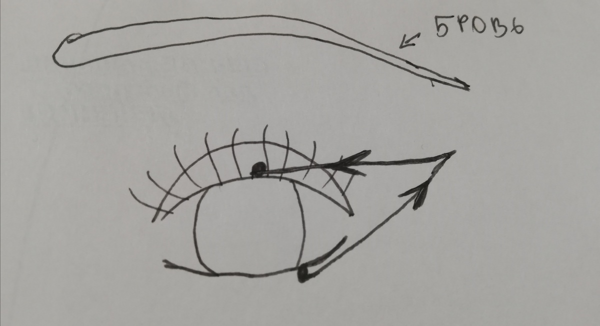 Точки - места начала и конца линий, стрелочки - направление движения кисти. Середину можно затушевать или нет. Красивы оба варианта. 