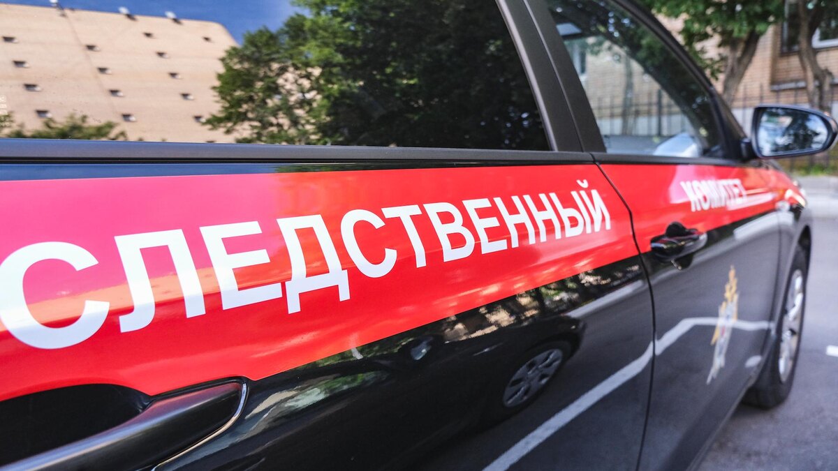    Фото: LANTYUKHOV SERGEY/news.ru/globallookpress.com