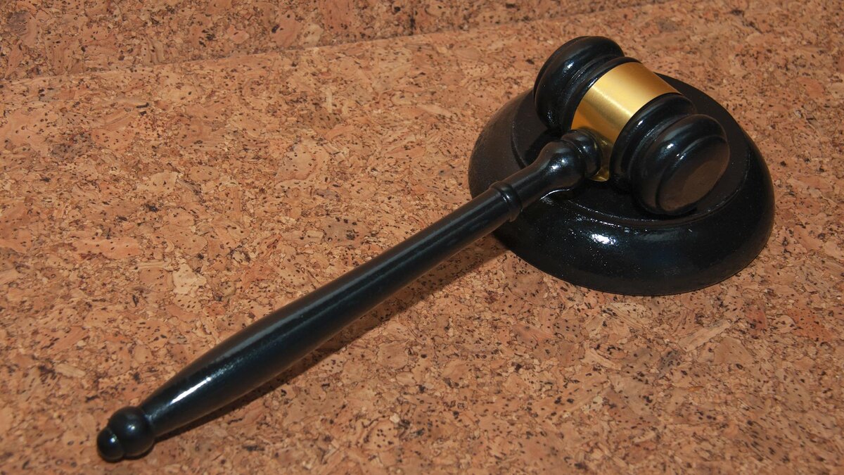    Фото: Svetlana Vozmilova/globallookpress.com